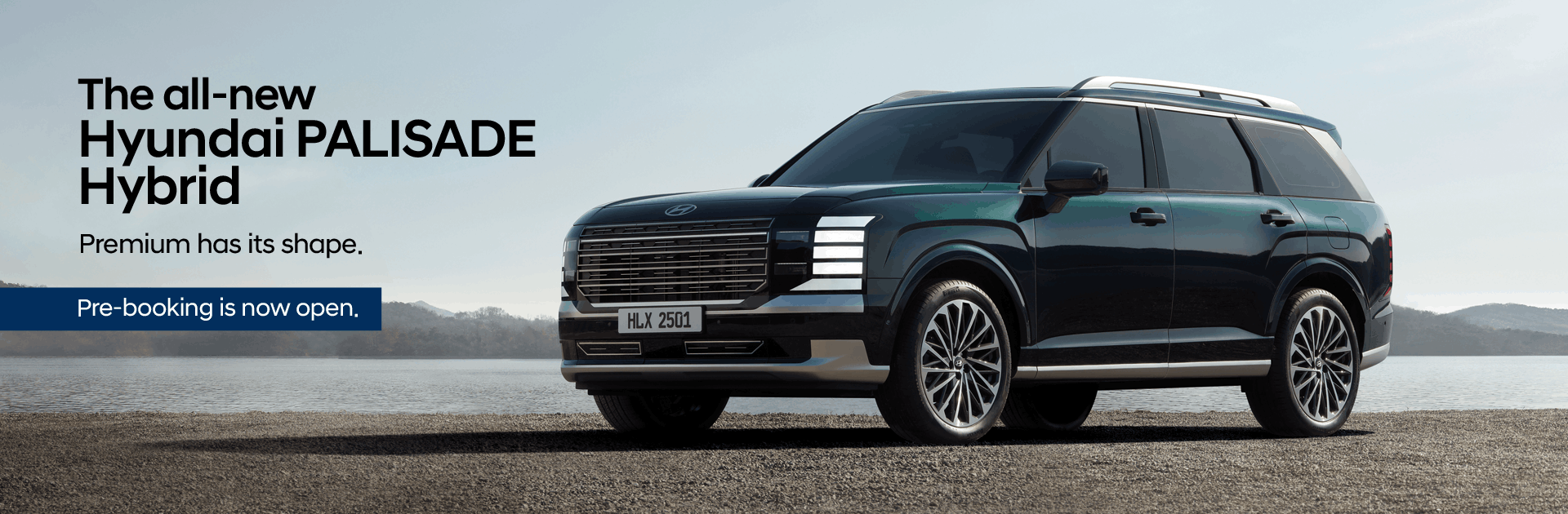 Hyundai Promise